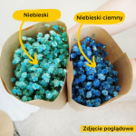 Gipsówka stabilizowana wiecznie żywa niebieska ciemna mały bukiet