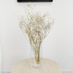 Gipsówka suszona biała