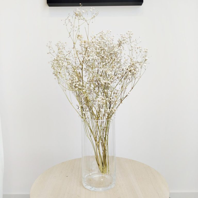 Gipsówka suszona biała