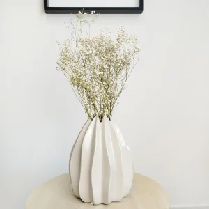 Gipsówka suszona biała