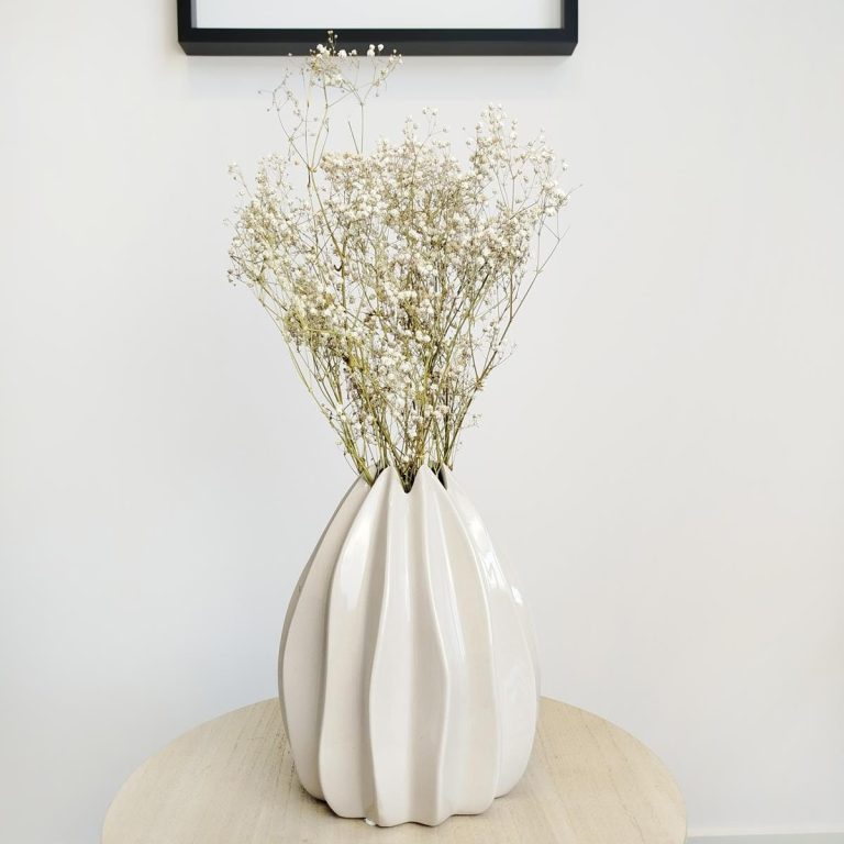 Gipsówka suszona biała