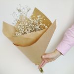 Gipsówka suszona biała