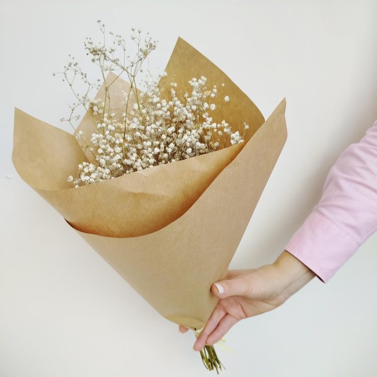 Gipsówka suszona biała