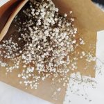 Gipsówka suszona biała