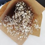 Gipsówka suszona biała