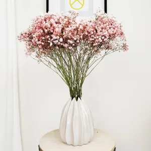 Gipsówka żywa gotowy bukiet różowy duży