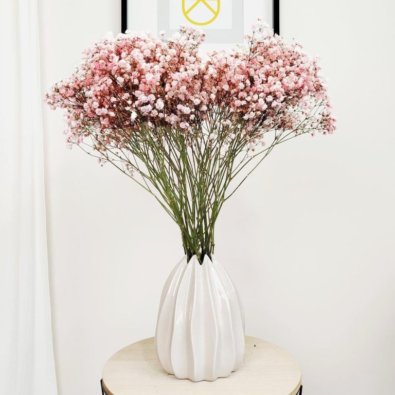 Gipsówka żywa gotowy bukiet różowy duży