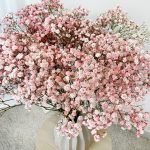 Gipsówka żywa gotowy bukiet różowy duży