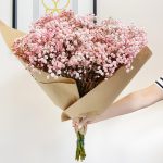 Gipsówka żywa gotowy bukiet różowy duży