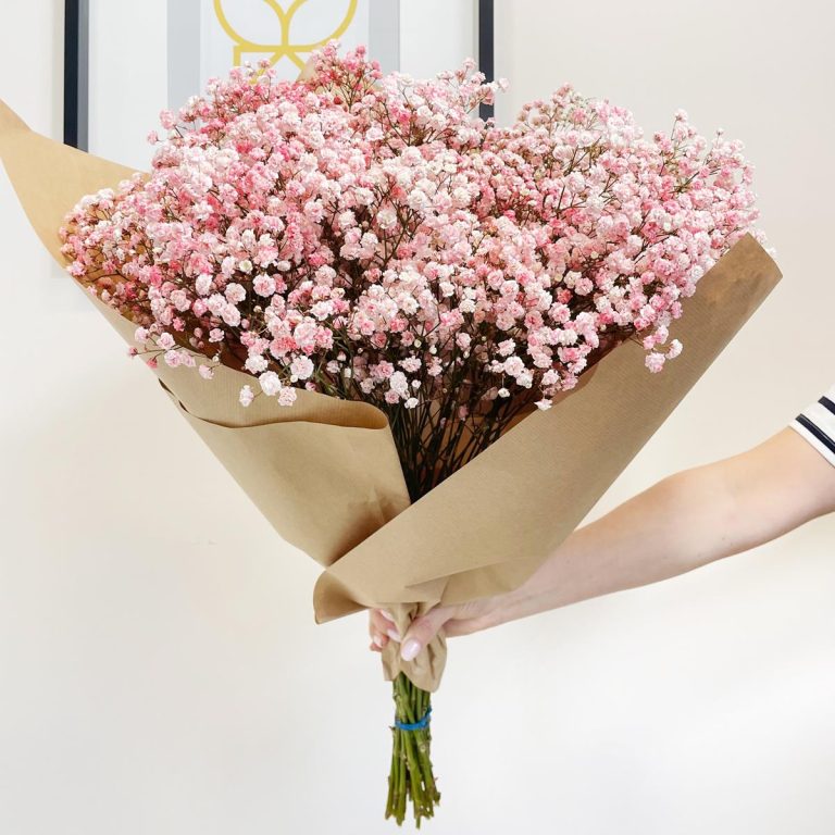 Gipsówka żywa gotowy bukiet różowy duży