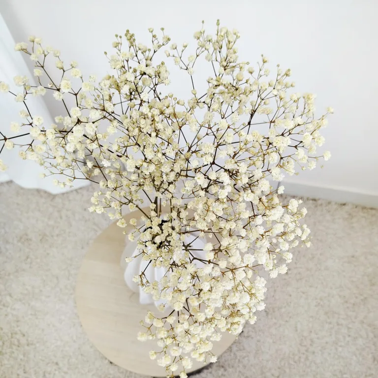 Gipsówka stabilizowana wiecznie żywa naturalnie biała mały bukiet