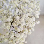 Gipsówka stabilizowana wiecznie żywa naturalnie biała mały bukiet