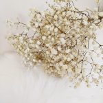 Gipsówka stabilizowana wiecznie żywa biała mały bukiet