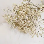 Gipsówka stabilizowana wiecznie żywa naturalnie biała mały bukiet