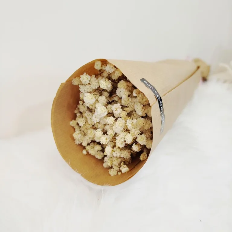 Gipsówka stabilizowana wiecznie żywa naturalnie biała mały bukiet