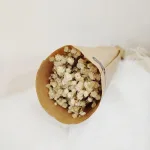 Gipsówka stabilizowana wiecznie żywa naturalnie biała mały bukiet