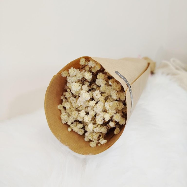 Gipsówka stabilizowana wiecznie żywa biała mały bukiet