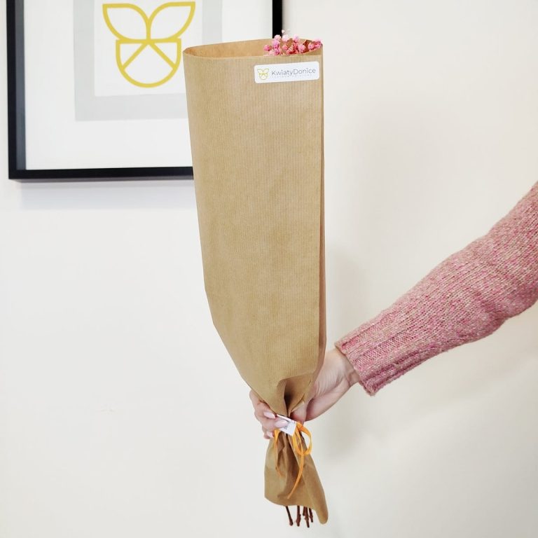 Gipsówka stabilizowana wiecznie żywa ciemno różowa mały bukiet