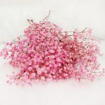 Gipsówka stabilizowana wiecznie żywa ciemno różowa mały bukiet