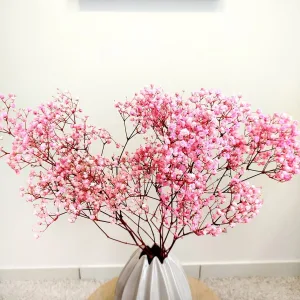 Gipsówka stabilizowana wiecznie żywa ciemno różowa mały bukiet