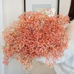 Gipsówka stabilizowana wiecznie żywa różowa duży bukiet