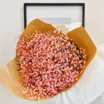 Gipsówka stabilizowana wiecznie żywa różowa duży bukiet