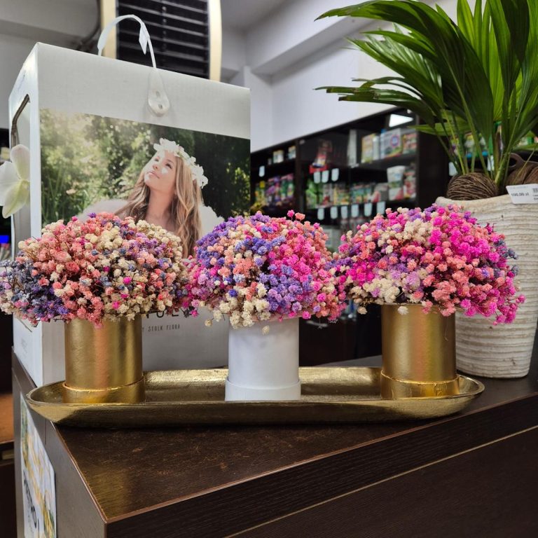 Gipsówka stabilizowana wiecznie żywa flower box