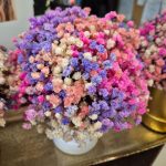 Gipsówka stabilizowana wiecznie żywa flower box