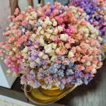 Gipsówka stabilizowana wiecznie żywa flower box