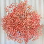 Gipsówka stabilizowana wiecznie żywa różowa duży bukiet