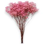 Gipsówka stabilizowana wiecznie żywa ciemno różowa duży bukiet