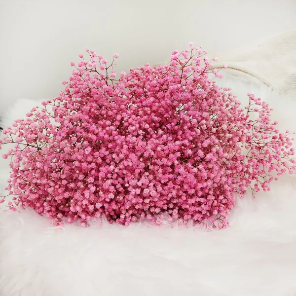 Gipsówka stabilizowana wiecznie żywa ciemno różowa duży bukiet