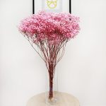 Gipsówka stabilizowana wiecznie żywa ciemno różowa duży bukiet