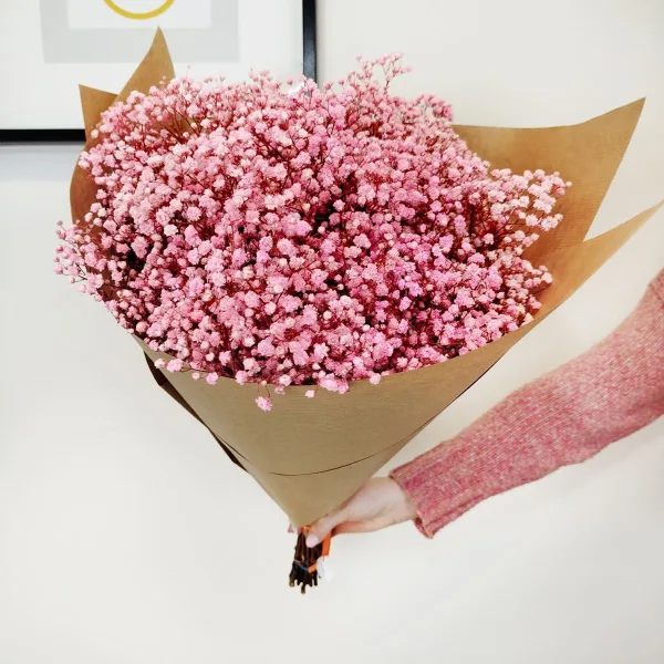 Gipsówka stabilizowana wiecznie żywa ciemno różowa duży bukiet