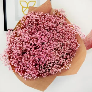 Gipsówka stabilizowana wiecznie żywa ciemno różowa duży bukiet