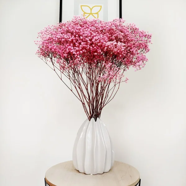 Gipsówka stabilizowana wiecznie żywa ciemno różowa duży bukiet