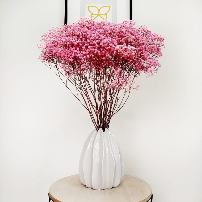 Gipsówka stabilizowana wiecznie żywa ciemno różowa duży bukiet