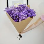 Gipsówka stabilizowana wiecznie żywa fioletowa duży bukiet