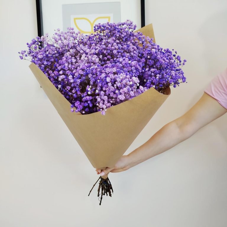 Gipsówka stabilizowana wiecznie żywa fioletowa duży bukiet