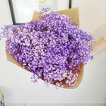Gipsówka stabilizowana wiecznie żywa fioletowa duży bukiet
