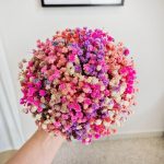 Gipsówka stabilizowana wiecznie żywa flower box