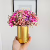 Gipsówka stabilizowana wiecznie żywa flower box