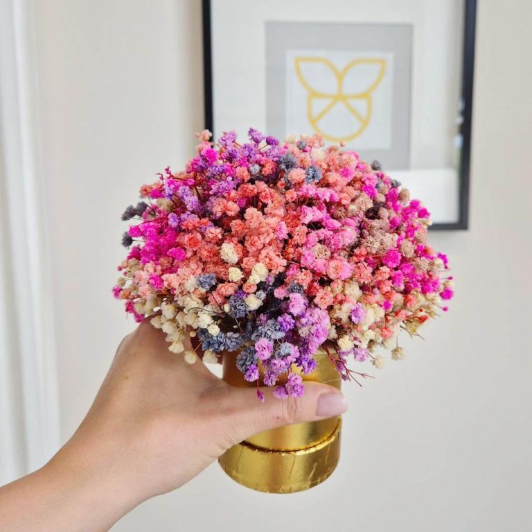 Gipsówka stabilizowana wiecznie żywa flower box