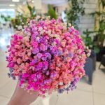 Gipsówka stabilizowana wiecznie żywa flower box