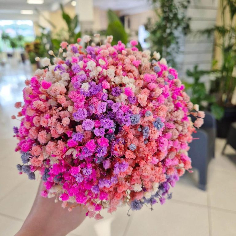 Gipsówka stabilizowana wiecznie żywa flower box