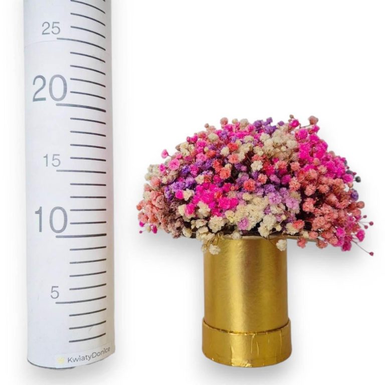 Gipsówka stabilizowana wiecznie żywa flower box