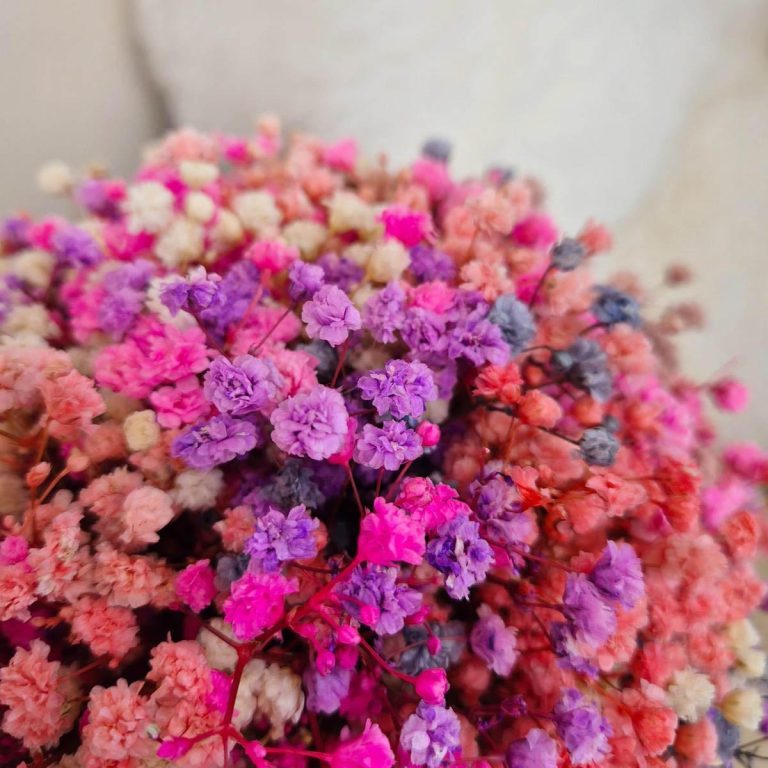 Gipsówka stabilizowana wiecznie żywa flower box