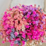 Gipsówka stabilizowana wiecznie żywa flower box