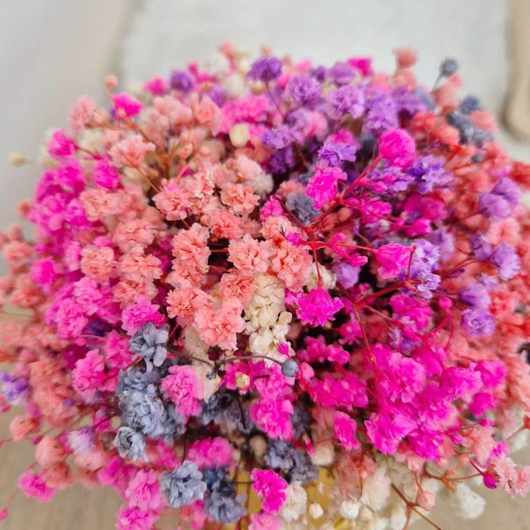 Gipsówka stabilizowana wiecznie żywa flower box