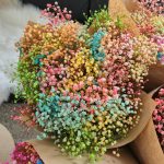 Gipsówka stabilizowana wiecznie żywa mix kolorów duży bukiet